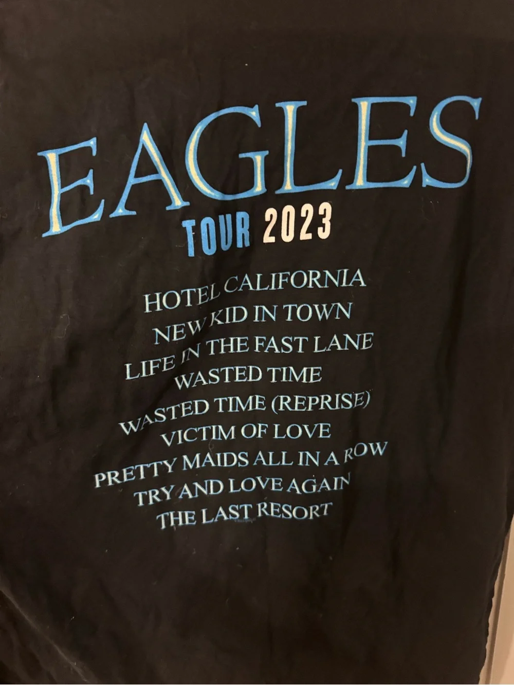 eagles hotel california t shirt vintage Large (CL-4)